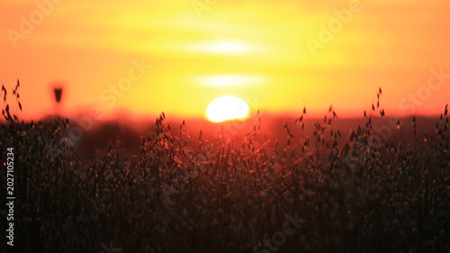 Photos here comes the sun