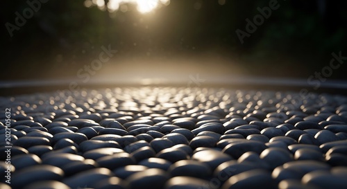 Zen Garden Path Illuminated by Golden Sunlight.