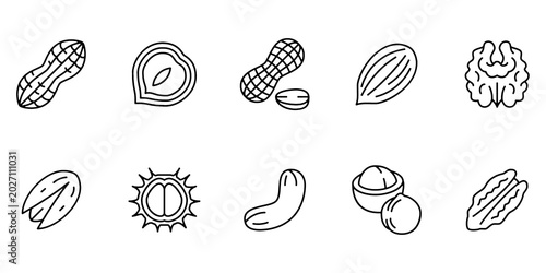 Fotografía Nuts Line Icon Set, Healthy Seed Snack Vector Transparent Background