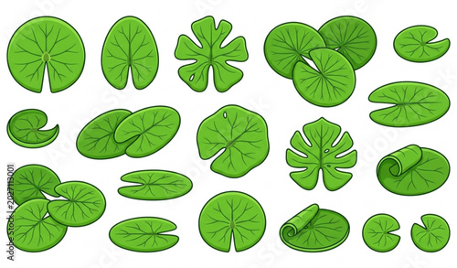 Photos Water lily leaf vector set with different lily pad shapes in cartoon illustratio