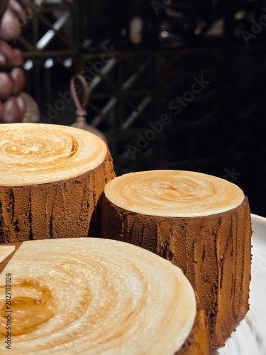 cut tree trunk