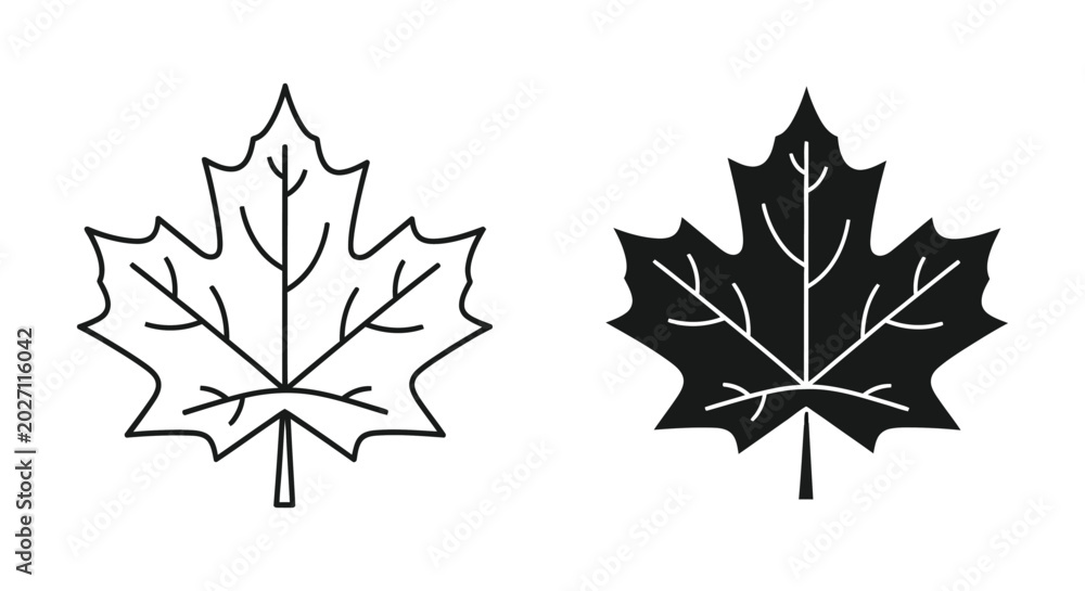 Fototapeta premium Set of maple leaves icons, outline and silhouette style, vector illustration
