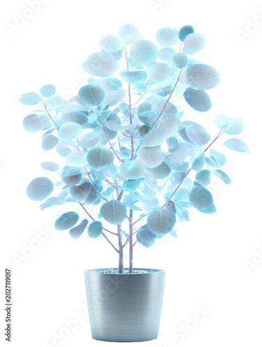 Plant Blue Leaves in Pot for Modern Interior Mockup