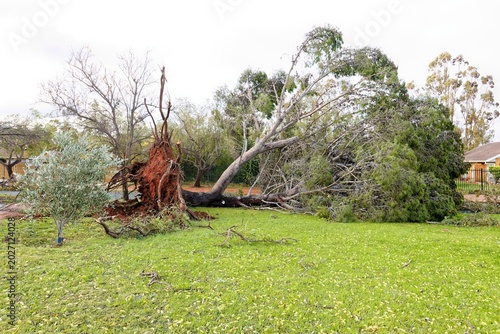 Foto Destruction caused by extreme stormy weather.