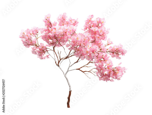 Cherry Blossom Branch with Pink Flowers on Transparent Background