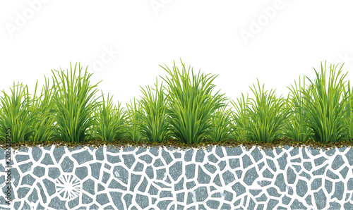 Herbe verte vibrante avec racines exposées au-dessus d'une bordure décorative en mosaïque grise