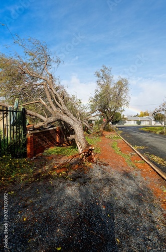 Tableau sur toile Destruction caused by extreme stormy weather.