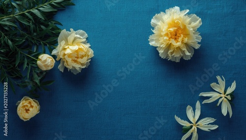 Yellow Peony Flowers on Blue Textile Background Top View, Vibrant Colors, Floral Composition