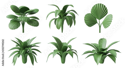 collection of 3d rendered green houseplants isolated against a plain white background decorative and design applications