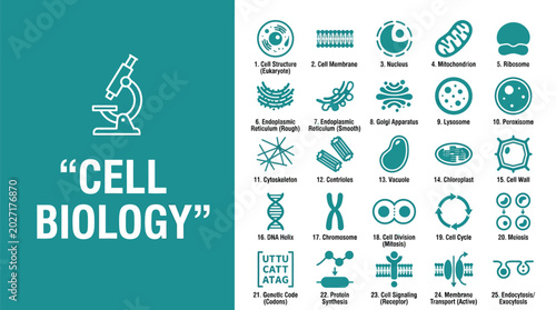 Detailed educational photograph displaying a collection of various microscopic cell biology icons for scientific study purposes