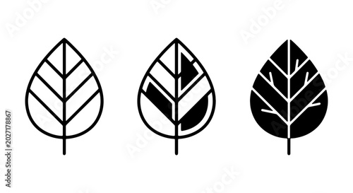 Leaf Icons Set, Nature Elements, Organic Symbols, Botanical Graphics, Vector Art