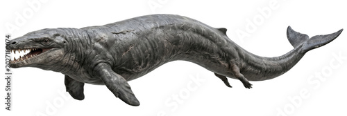 realistic basilosaurus (basilosaurus cetoides) isolated on transparent background