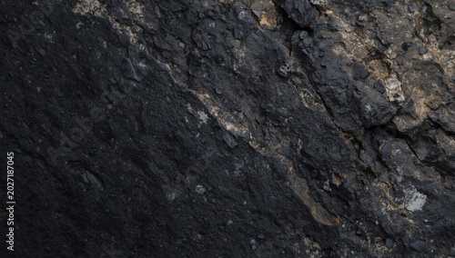 Banded Gneiss Rock Texture Close-Up View, Mineral Variation on Dark Surface