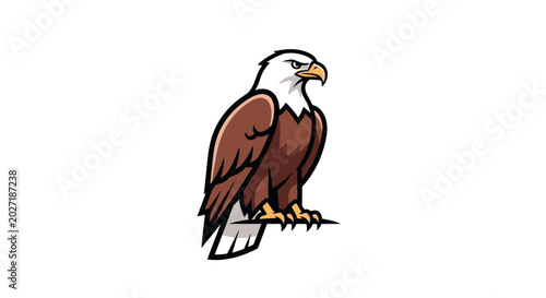Foto American Bald Eagle Bird Animal.