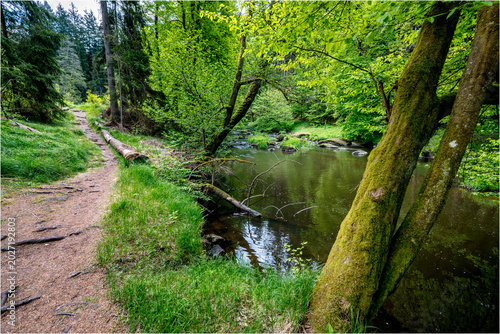 Waldnaab Wanderweg