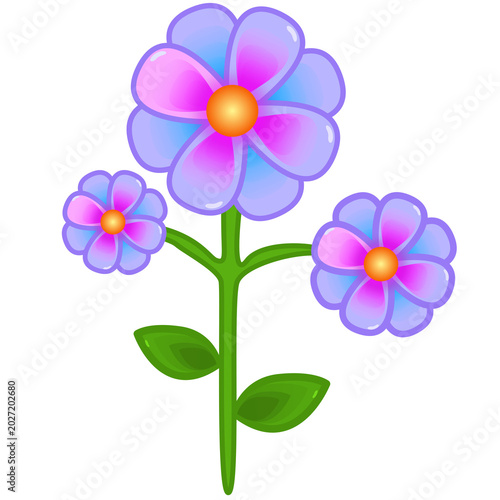 purple flower isolated on white background