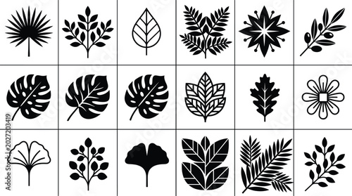 Slika na platnu Black silhouette vector set of botanical leaves and flowers icons including monstera ginkgo palm oak fern and olive branch for organic nature design elements