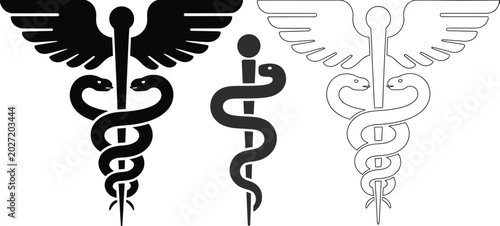Cuadro en lienzo Caduceus medical symbols set healthcare emblem snake staff wings vector illustra