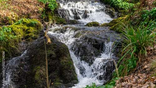 Forest waterfall surrounded by lush greenery and moss. A forest stream during a walk