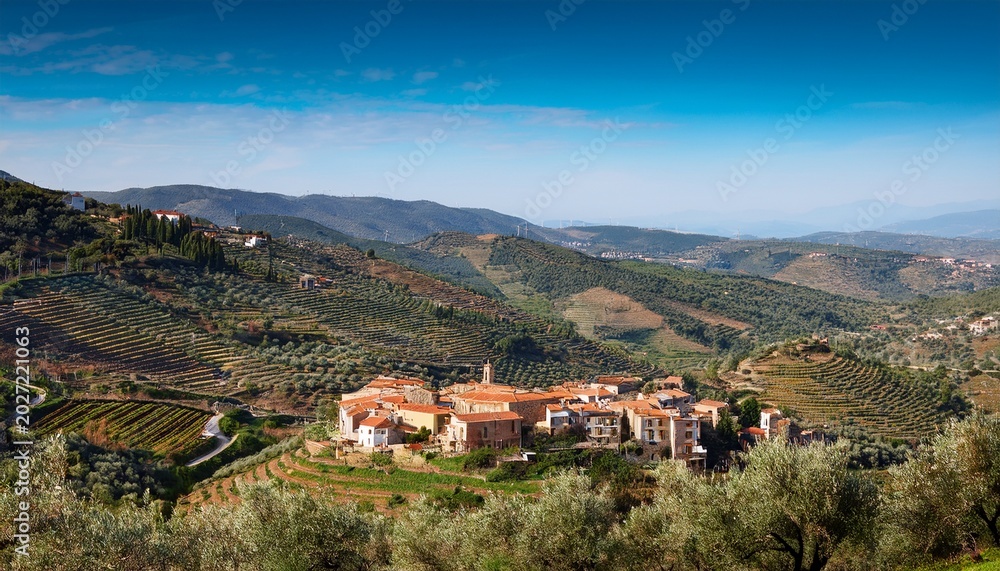 Fototapeta premium fermoselle village overview with terraced farmlands and olive groves