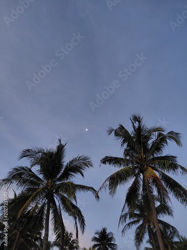 Canvas Print moonrise
