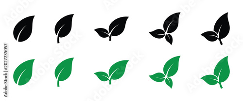 Minimalist Bio Leaf Icon Vector in Clean Modern Geometric Style.  Set of green leaf designs with flat power. Simple leaf illustrations.  Leaf vectors, nature theme. eps10.
