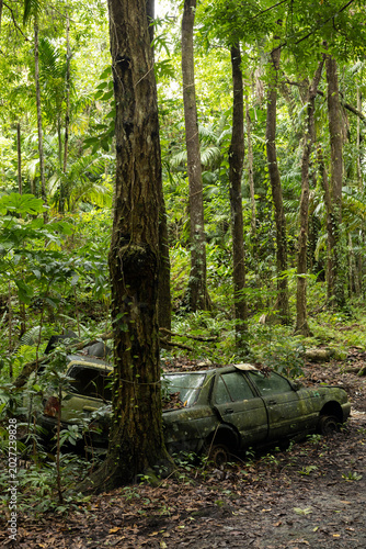 old destroyed car in the jungle