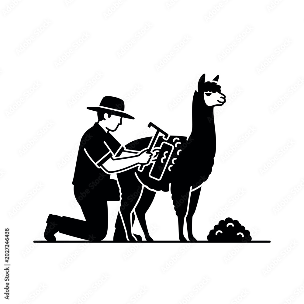Fototapeta premium Farmer Shearing Alpaca with Clippers in a Stylized Line Art Illustration.