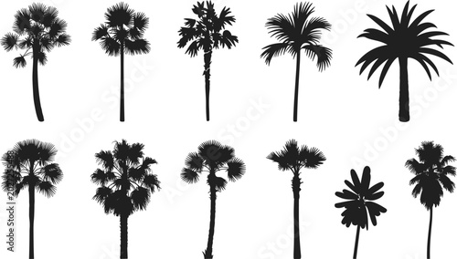 Pitch black solid silhouette set of tropical palm trees, coconut plant icons, beach nature symbols for landscape architecture design elements.
