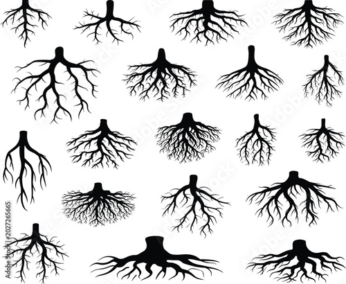 Foto Pitch black solid silhouette of tree roots set on white background for landscape