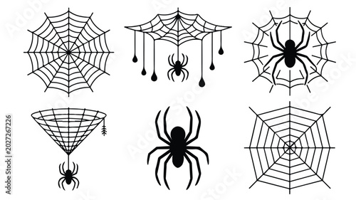 black spider web and spider illustrations