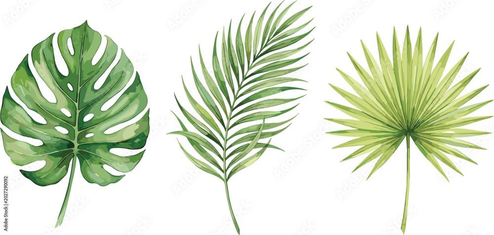 Naklejka premium Set of Three Tropical Leaves Vector Illustrations for Botanical, Jungle, and Exotic Plant Designs, Perfect for Nature, Garden, and Decorative Digital Art Projects