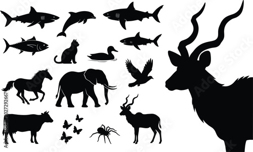 Photography Black animal silhouettes collection featuring a variety of wild animals marine l
