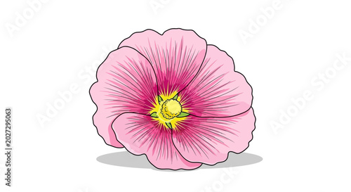 Foto A single pink hollyhock flower shown in a detailed illustration.