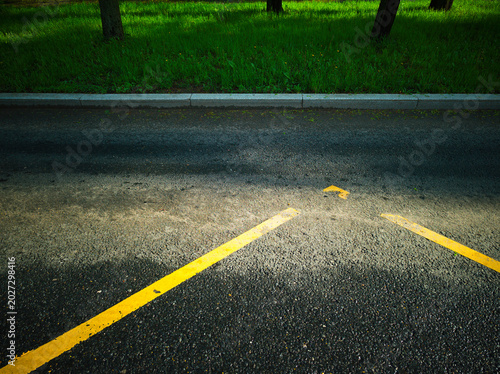 Yellow road line and green near road grass background