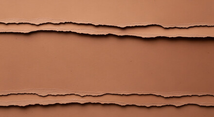 Torn brown paper background texture