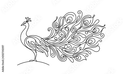 Elegant peacock with intricate feather details standing gracefully isolated on transparent background, Vector, illustration one line silhouette vector bird image editable