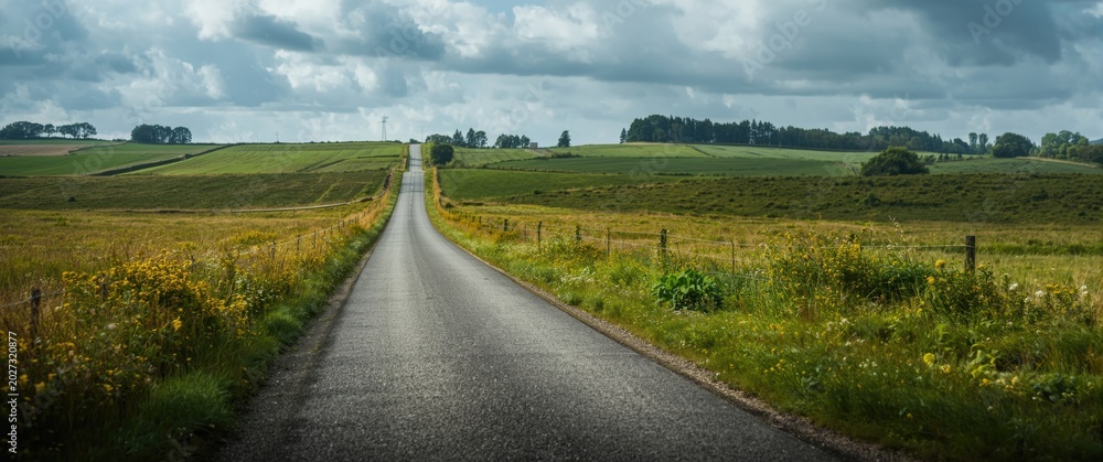 Fototapeta premium A tranquil narrow road weaving through lush green fields and meadows