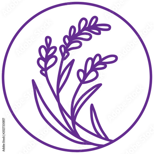 Lavender flower over the white background