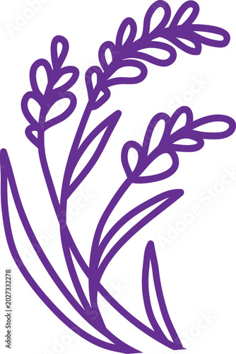 Lavender flower over the white background