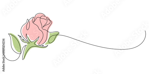 Photos Rose flower line art drawing with pink and green colors