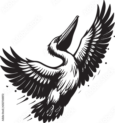 Majestic Pelican Rising Wings Vector Illustration
