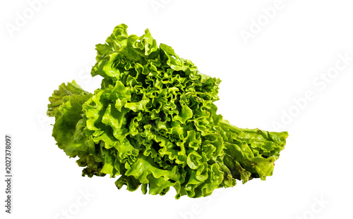 Konstfotografi Lechuga verde fresca aislada sobre fondo negro para alimentación saludable y coc