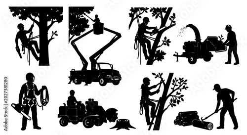 Fotografie Arborist Tree Care Silhouettes, 8 Vector Icons for Arboriculture Services, Lands