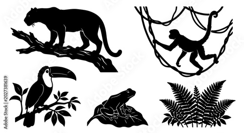 Photography Jungle Wildlife Silhouette Collection: Panther, Monkey, Toucan, Frog, Ferns, Vec