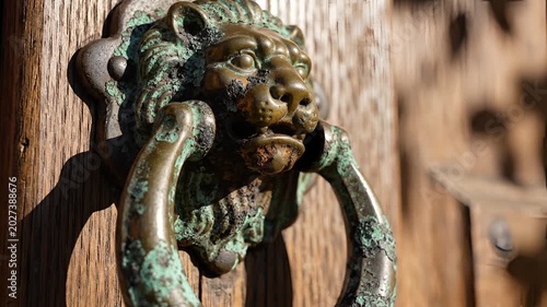 Antique Lion Head Door Knocker on Wooden Door Closeup.