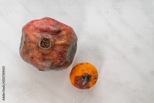 Photography Overhead flat lay perspective displays decomposing large pomegranate with small decaying orange mandarin citrus fruit showing advanced fungal growth on white textured surface