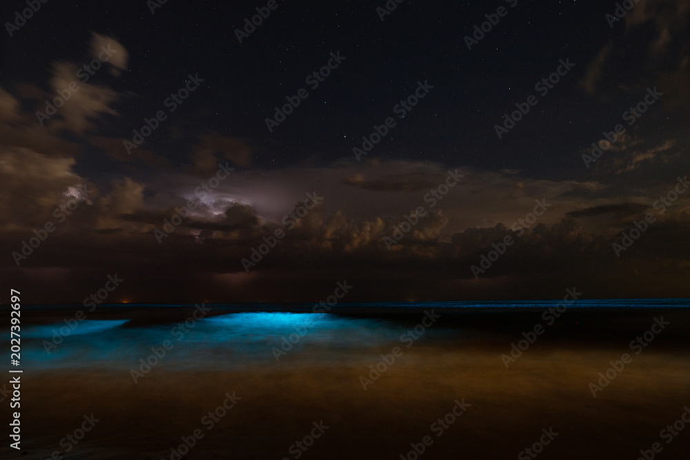 Fototapeta premium Nightstorm with Bioluminescence
