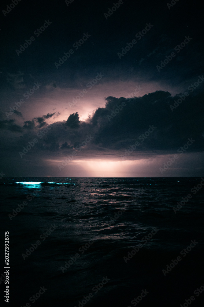 Fototapeta premium Nightstorm with Bioluminescence