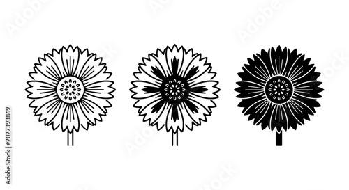 Bild auf Leinwand Cornflower botanical vector set, black and white floral icons, minimalist wildfl